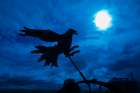 USA-Washington State-Palouse-Colfax weathervane Bird Art Print